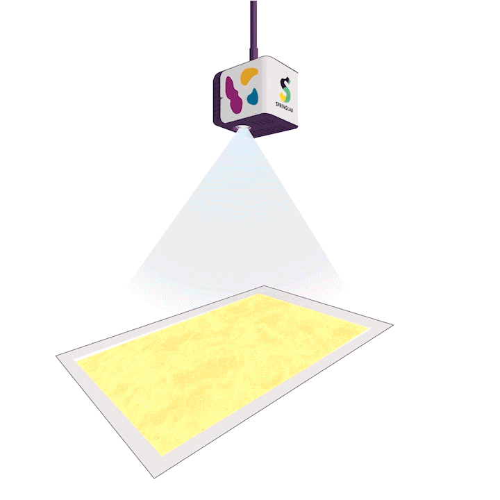 Rekengamemask-2